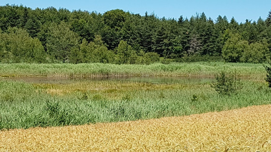 Lac de St-Léger