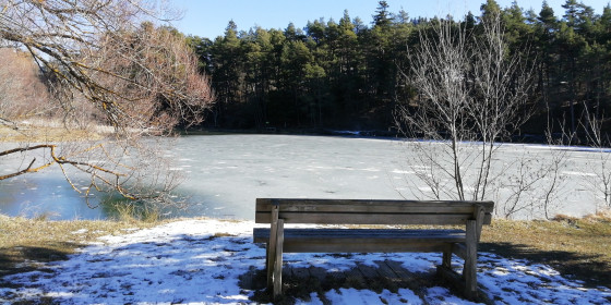 A faire : Le Castellaras et le Lac de Thorenc au départ de la Pinée ...