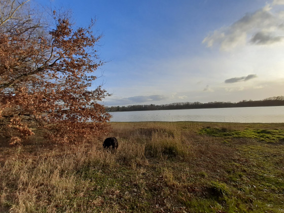 Lac de vioreau