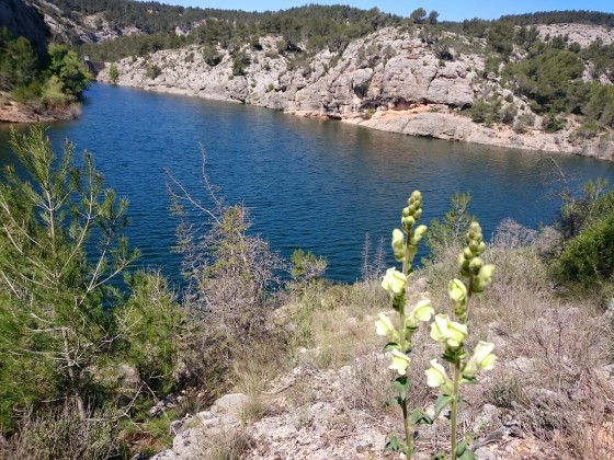 Lac de Zola