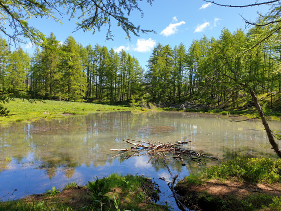 lac des grenouilles