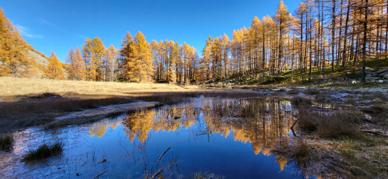 lac des grenouilles