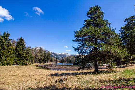 Lac des Monges