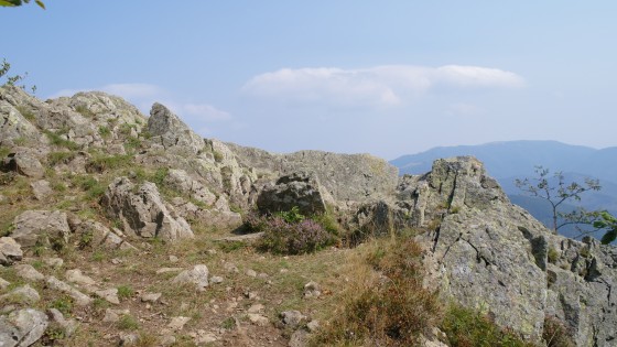 Lac des Perches (VOSGES)