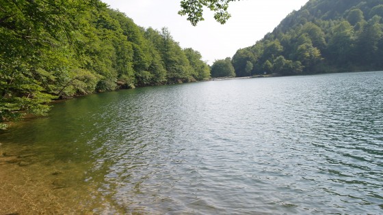 Lac des Perches (VOSGES)