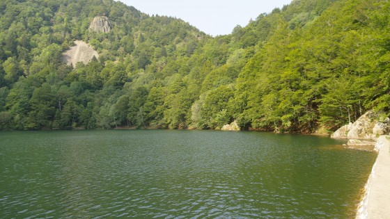 Lac des Perches (VOSGES)