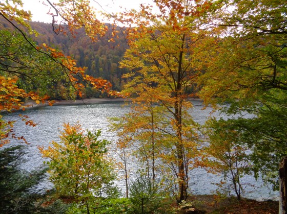 Lac du Ballon en automne