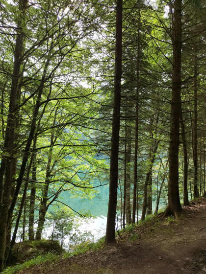 Lac du ballon