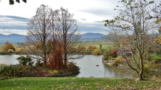 Lac du bois marquis