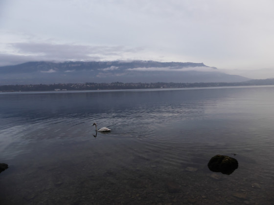 Lac du Bourget
