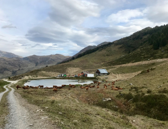 Lac du Bozon