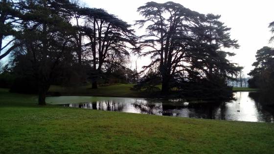 Lac du jardin du Trocadéro