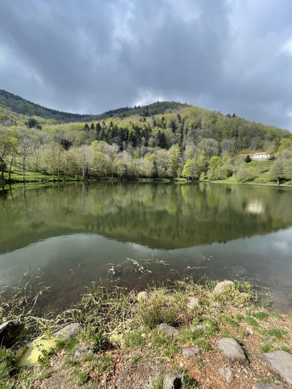 Lac du Lachtelweiher