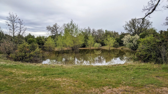 Lac du Lombard