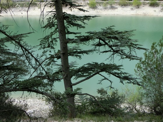 Lac du Paty