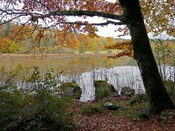 Lac du Petit Maclu