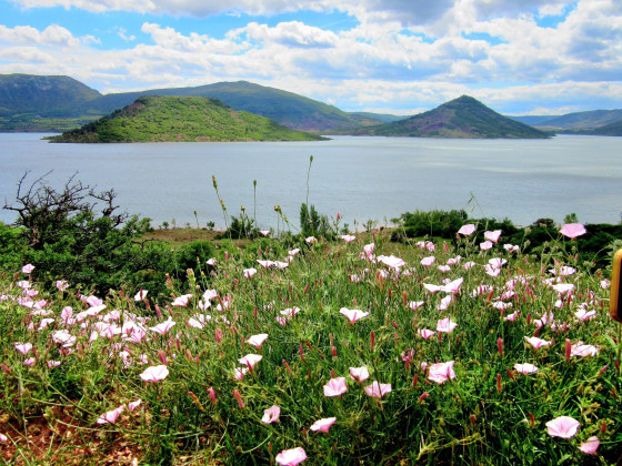Lac du Salagou