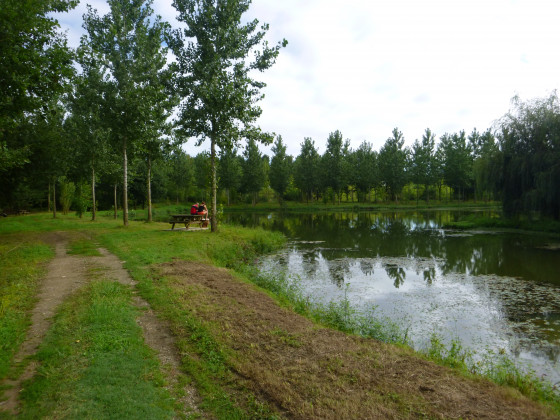 Lac du Treste à Gousse