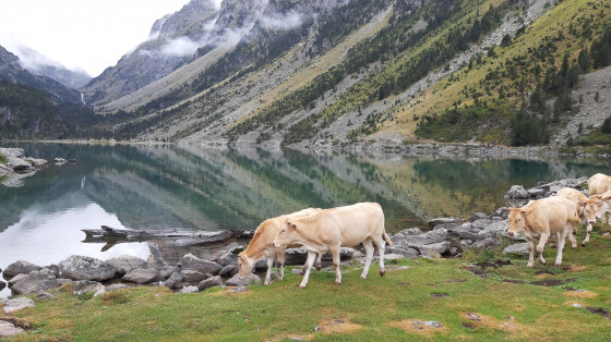 Lac de Gaube