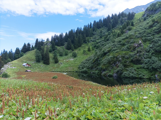 Lac des Cornaches