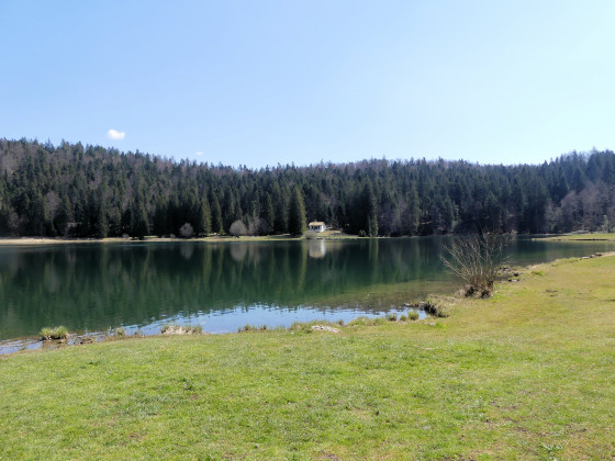 Lac Genin