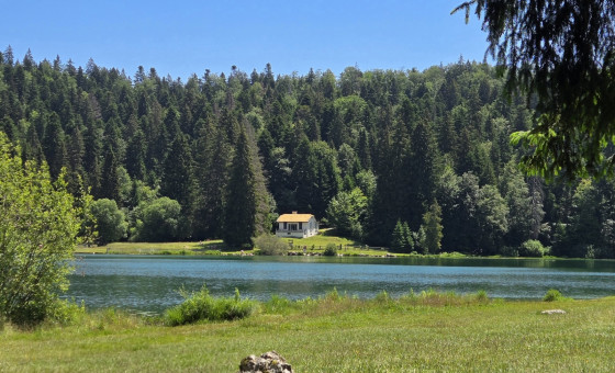 Lac Genin