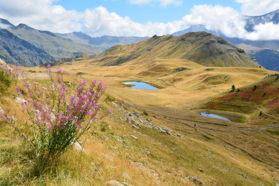 Lac Jujal et fleurs des montagnes 05/09/2025