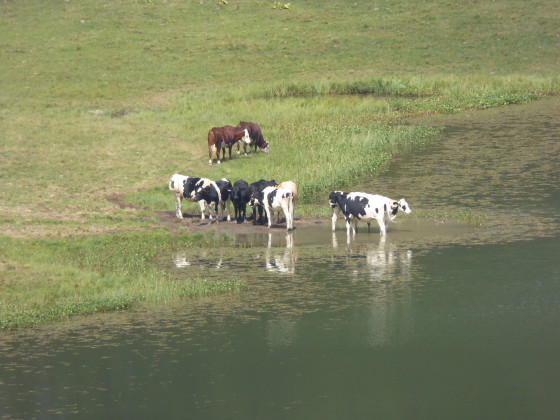 Lac Le Roy : un abreuvoir naturel