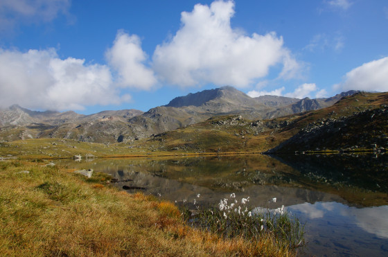 lac long
