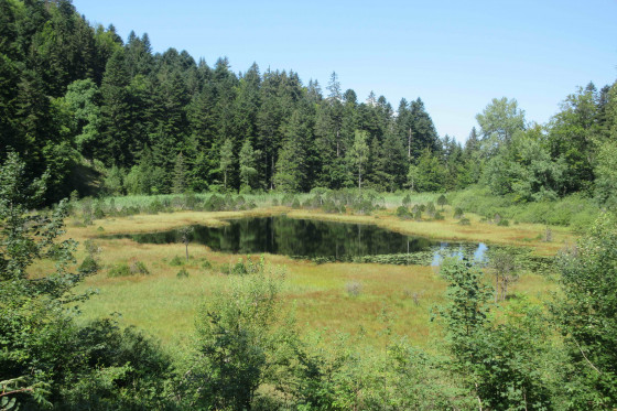 Lac Luitel