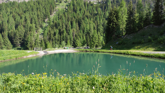 Lac Majingsee