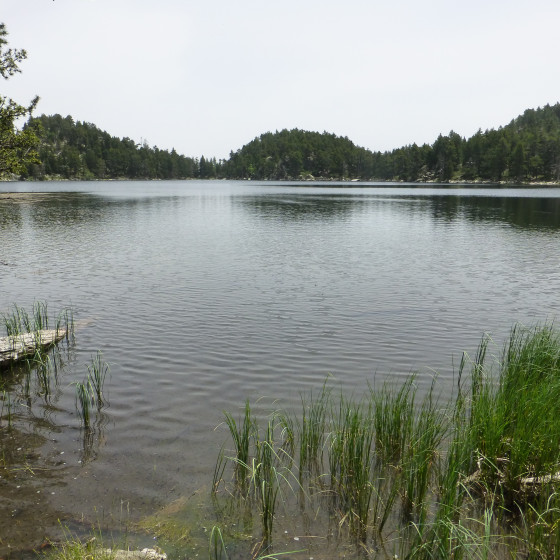 Estany Negre