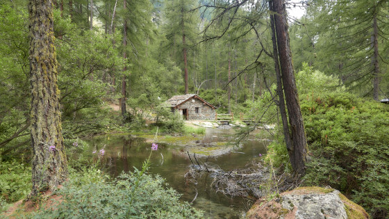 Lac Pellaud