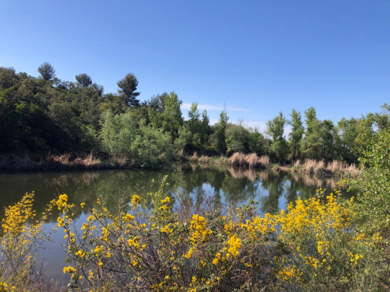 Lac Site du Blavet