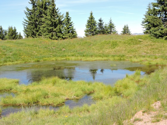 Lac