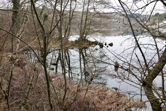 Lac...