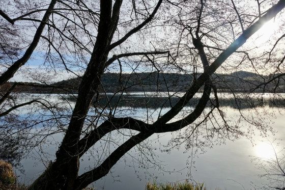 Lac...