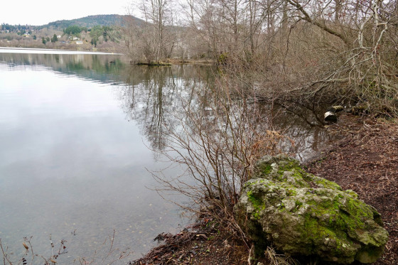 Lac...