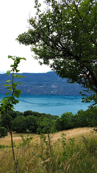 Lac