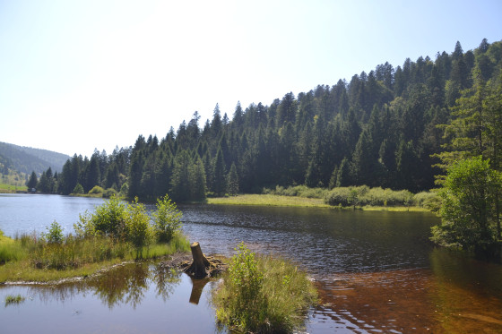Lac