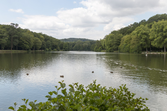 Lacs de la Folie à Contrexéville