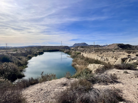 Laguna del Sur (Lago del Senyoret)