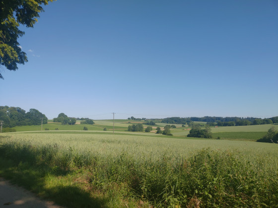 Sentier paysager d'Altom&uuml;nster