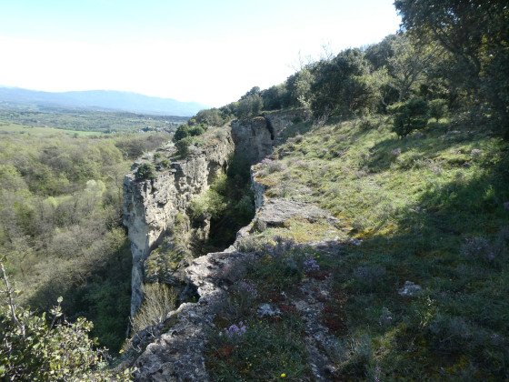 Langue de la falaise
