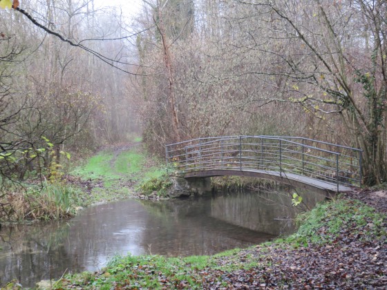Languetoise