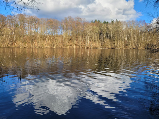 Lankower See