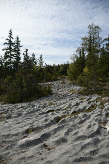 Lapiaz au bord du chemin