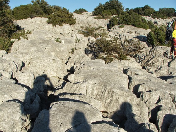 Lapiaz