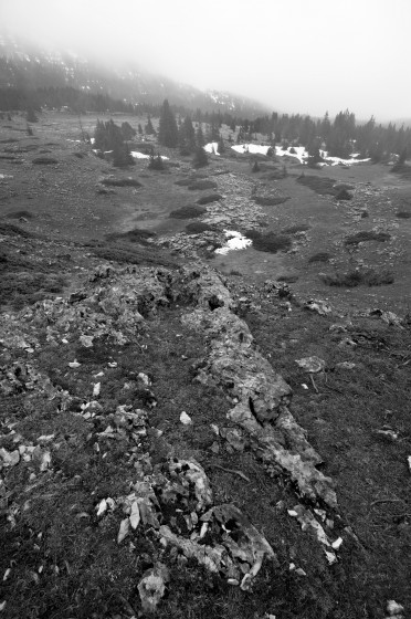 Lapiez sur le plateau du Vercors