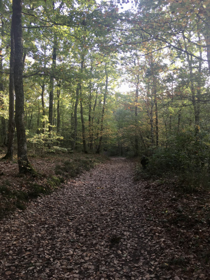 Large allée